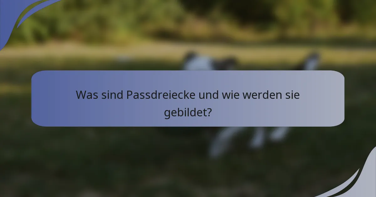 Was sind Passdreiecke und wie werden sie gebildet?